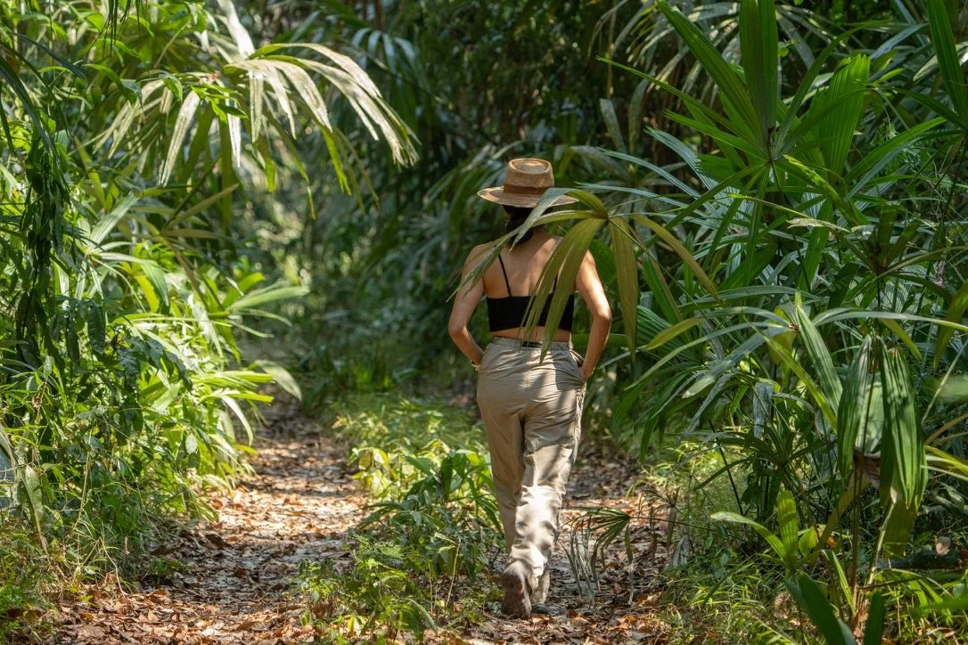 What Being in the Jungle Means