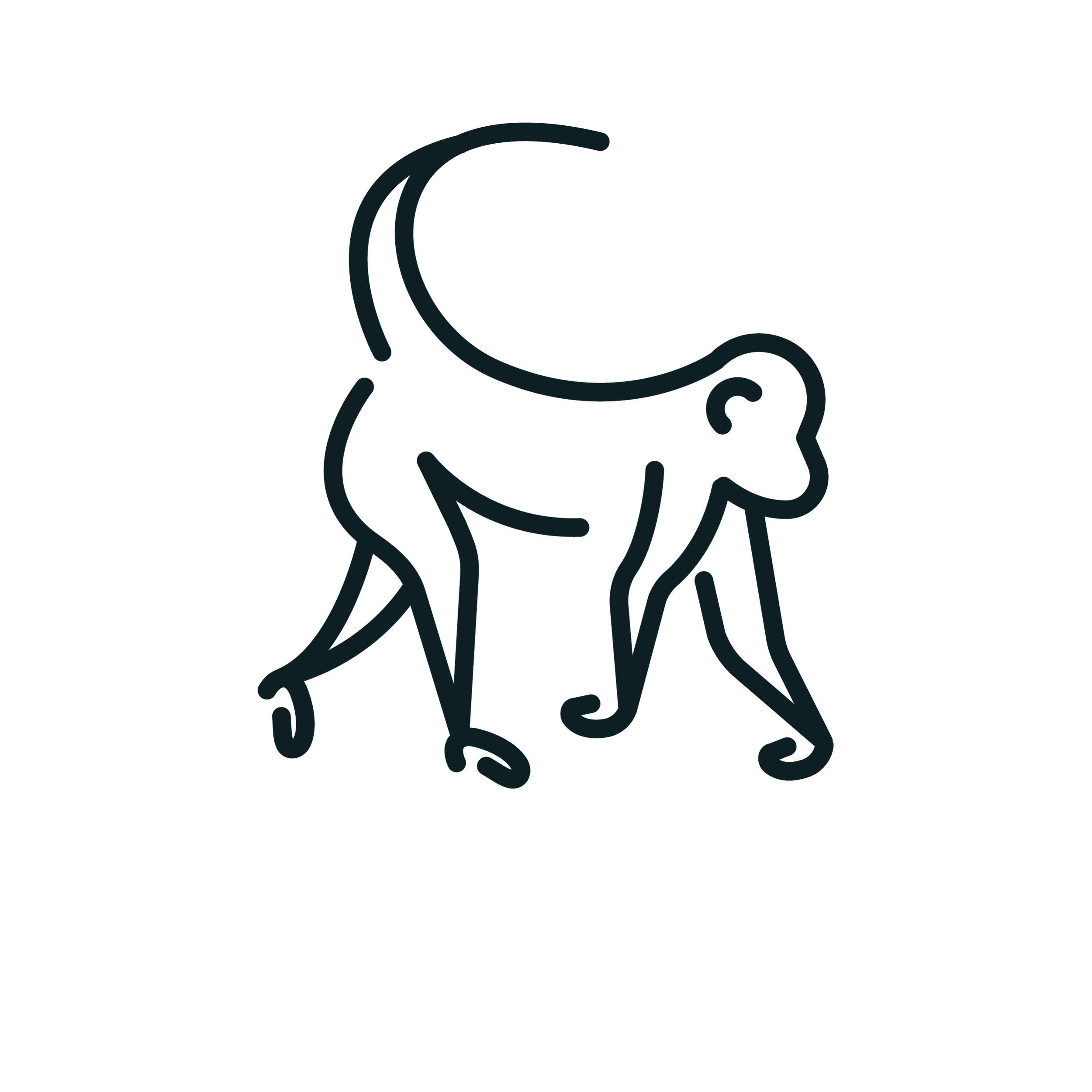 One With The Wild logo
